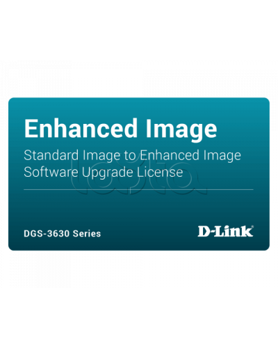 ПО D-Link DGS-3630-28PC-SE-LIC в Иркутске Беспроводное оборудование Pintop.ru