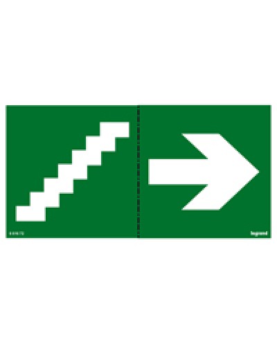 Пиктограмма 100х200 лестница стрелка Legrand 661672 в Иркутске Дополнительное оборудование для ОПС Pintop.ru